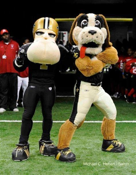 Saints mascot name